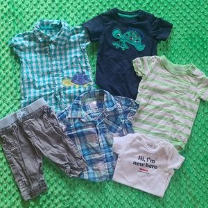 Baby boy turtle lot